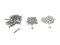 CF Flange Bolt and Nut Sets