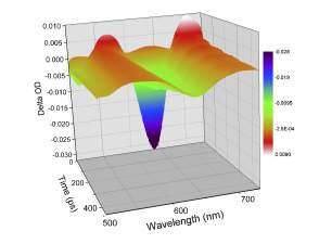 Ultrafast Spectroscopy