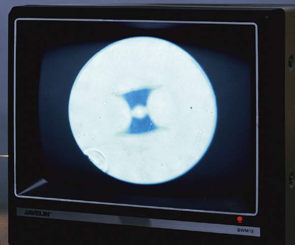 Standard Polarization Maintaining Fibers