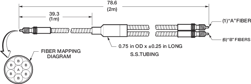 Spectrometer Inspection Probes