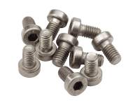 Stainless Steel Cap Screws