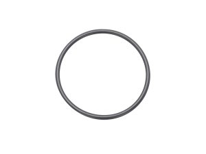 ISO Centering Ring Viton® O-Rings