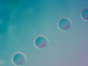 Laser Micromachining