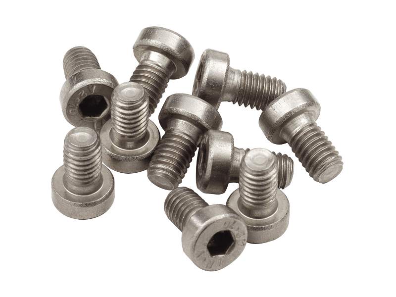 Stainless Steel Cap Screws
