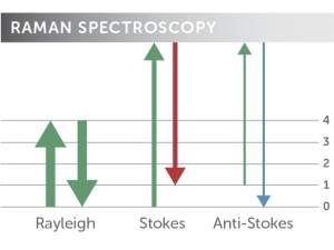 Raman Spectroscopy