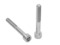 Stainless Steel Cap Screws